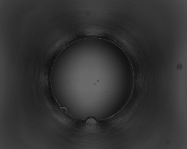 X0000093090547200710031440