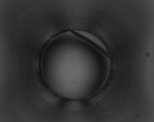 X0000093090548200710031440