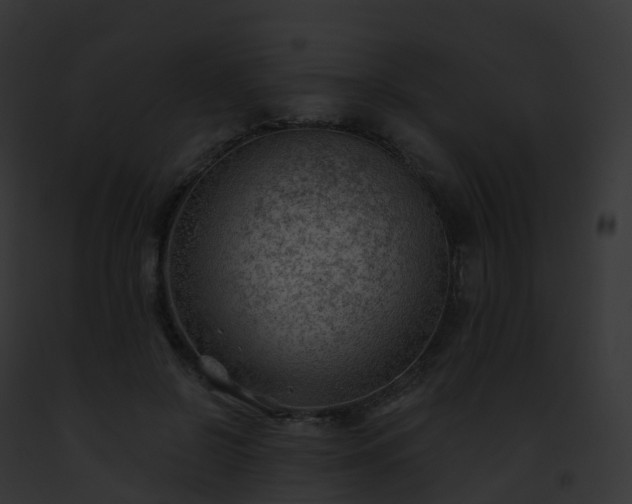 X0000093090550200710031440