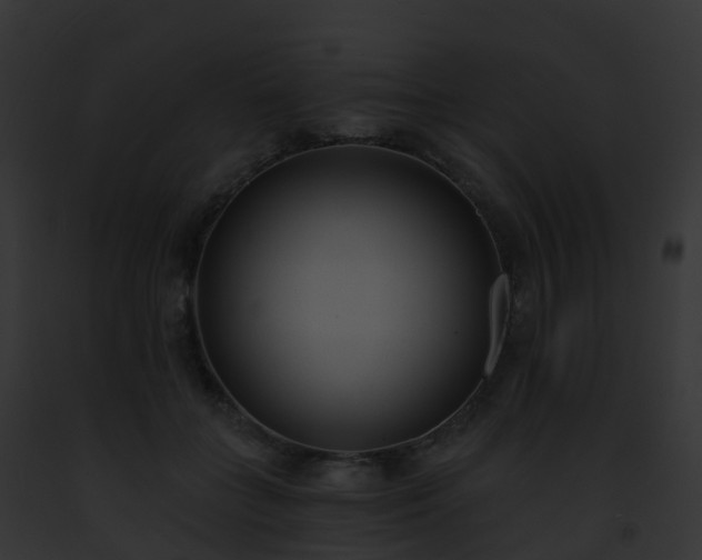 X0000093090555200710031441