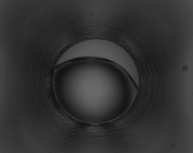 X0000093090556200710031441