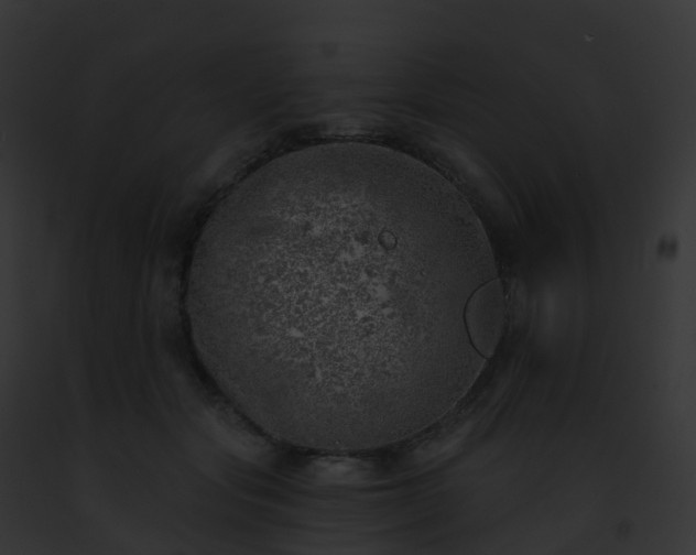 X0000093090557200710031441