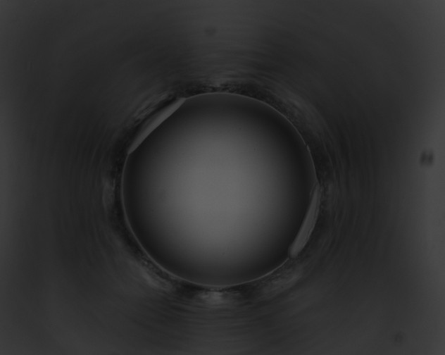 X0000093090558200710031441