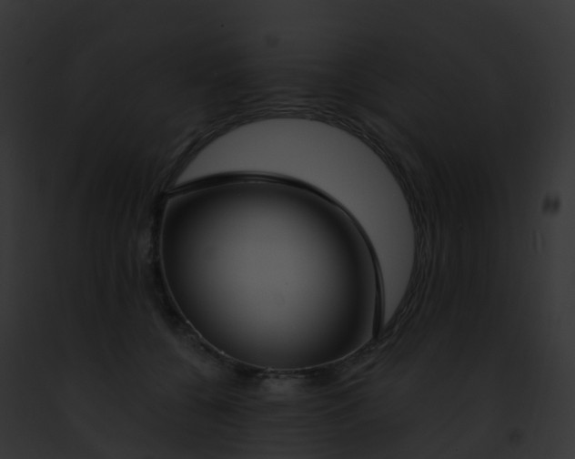 X0000093090560200710031441