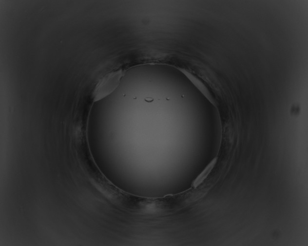 X0000093090564200710031441