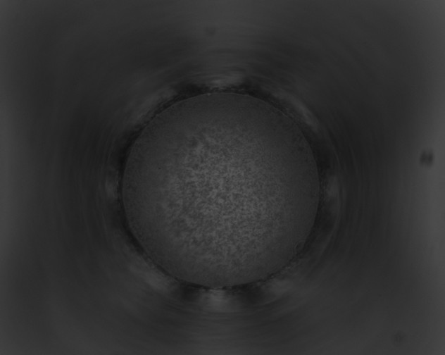 X0000093090565200710031441