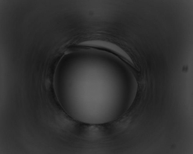 X0000093090566200710031441
