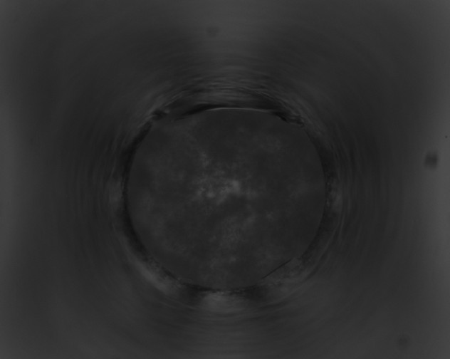 X0000093090568200710031441
