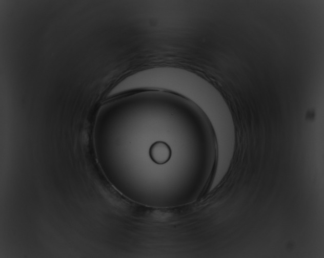 X0000093090570200710031441
