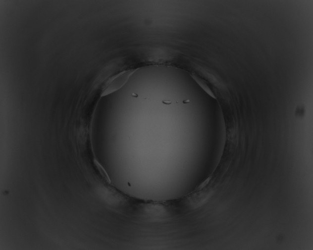 X0000093090572200710031441