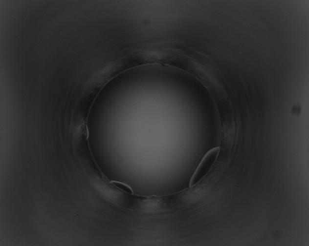 X0000093090574200710031441