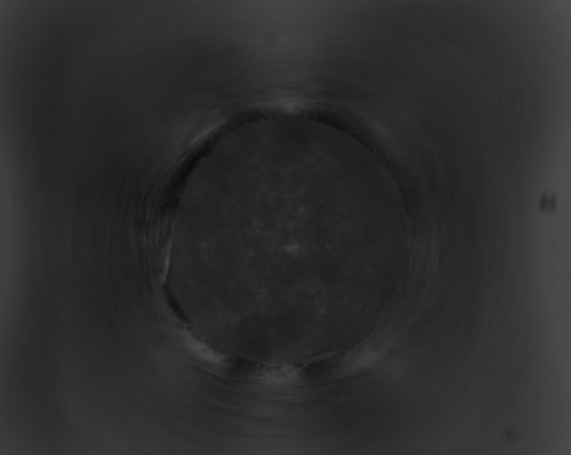 X0000093090576200710031441