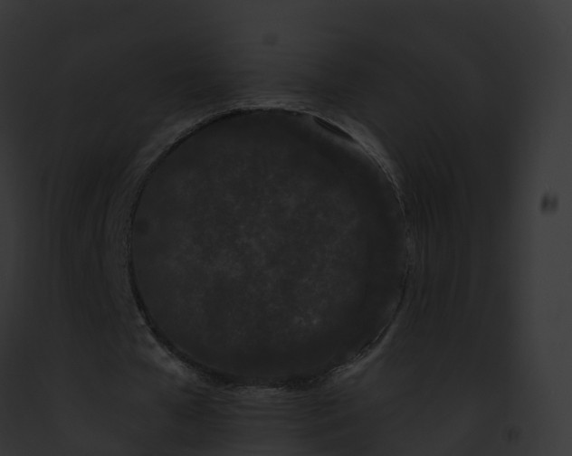 X0000093090577200710031440
