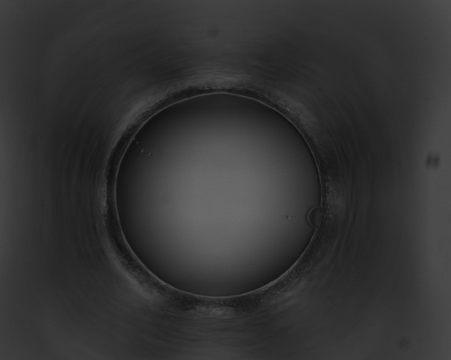 X0000093090582200710031440