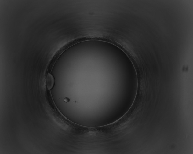 X0000093090584200710031440