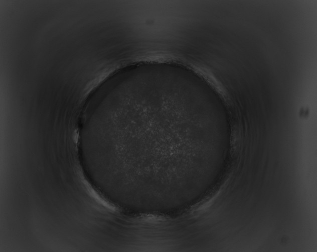 X0000093090585200710031440
