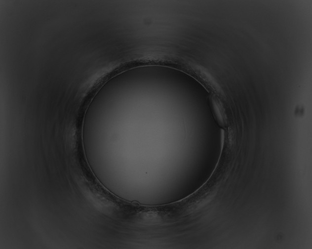 X0000093090588200710031440