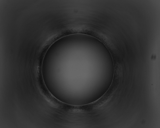 X0000093090590200710031440
