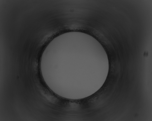 X0000093090592200710031440