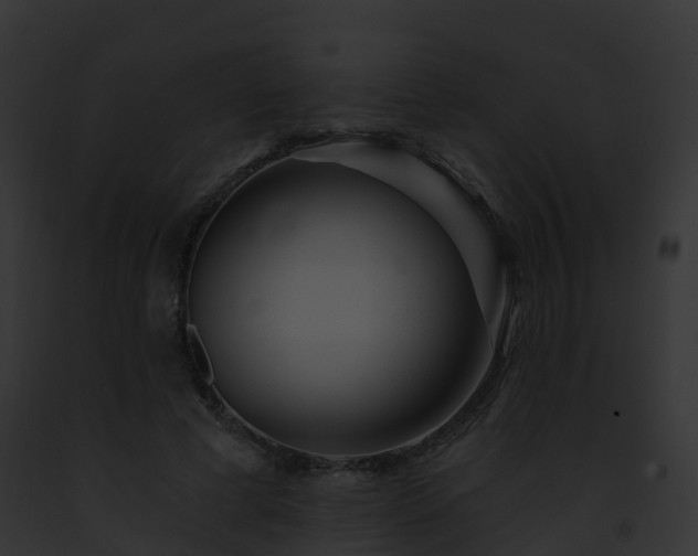 X0000093090593200710031440