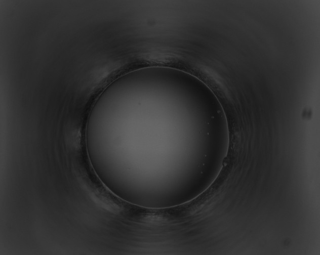 X0000093090596200710031440