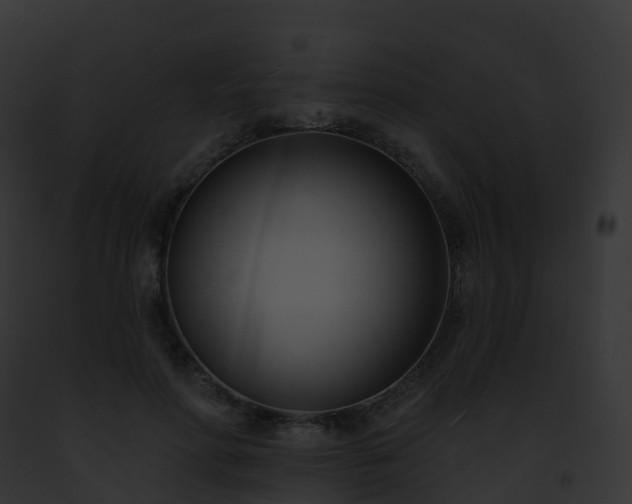 X0000093090598200710031440
