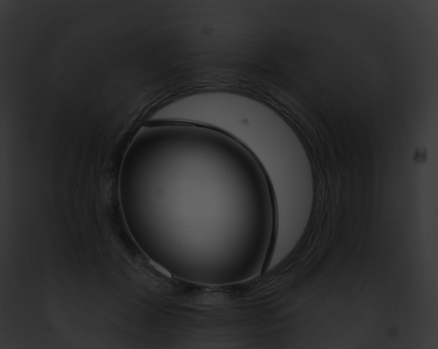X0000093090604200710031440