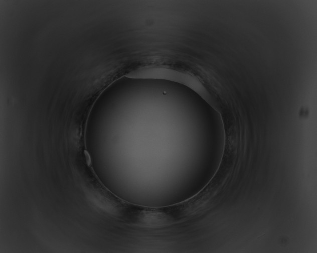 X0000093090605200710031440