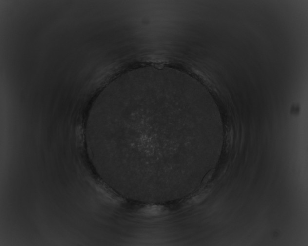X0000093090609200710031440