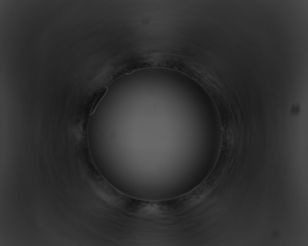 X0000093090611200710031440