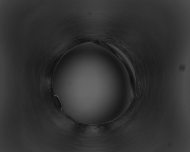 X0000093090613200710031440