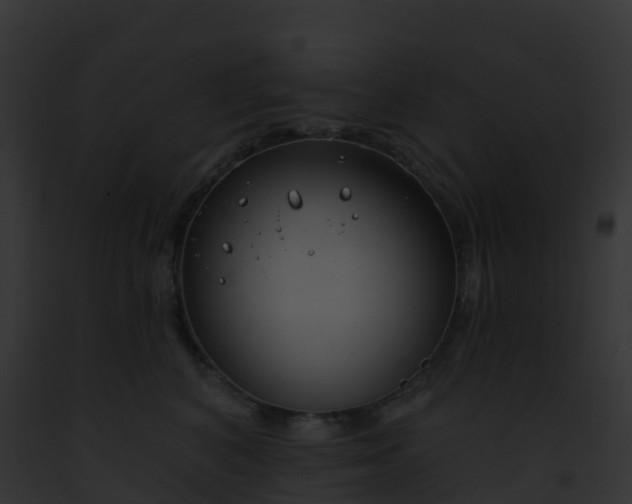 X0000093090616200710031440