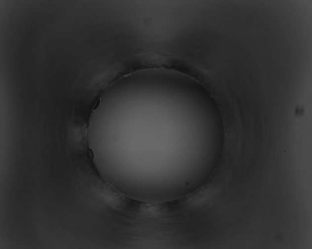 X0000093090624200710031440
