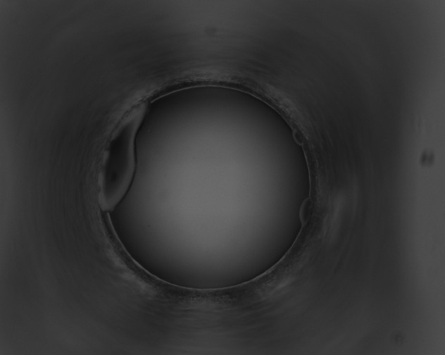 X0000093090625200710031439