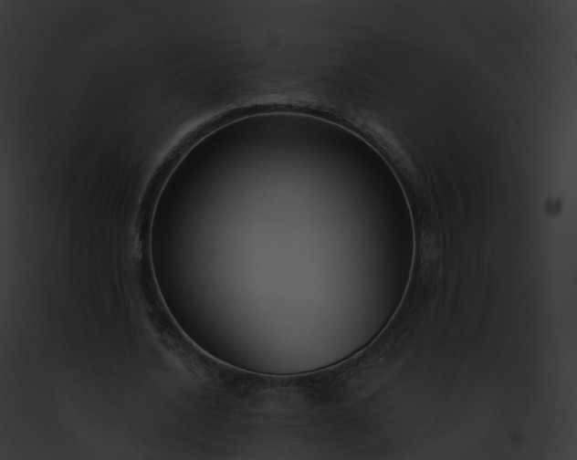 X0000093090628200710031439