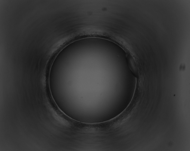 X0000093090629200710031439