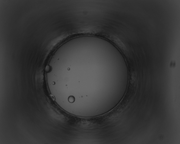 X0000093090632200710031439