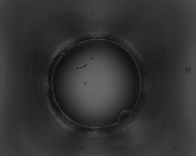 X0000093090634200710031439