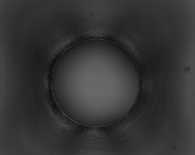 X0000093090635200710031439