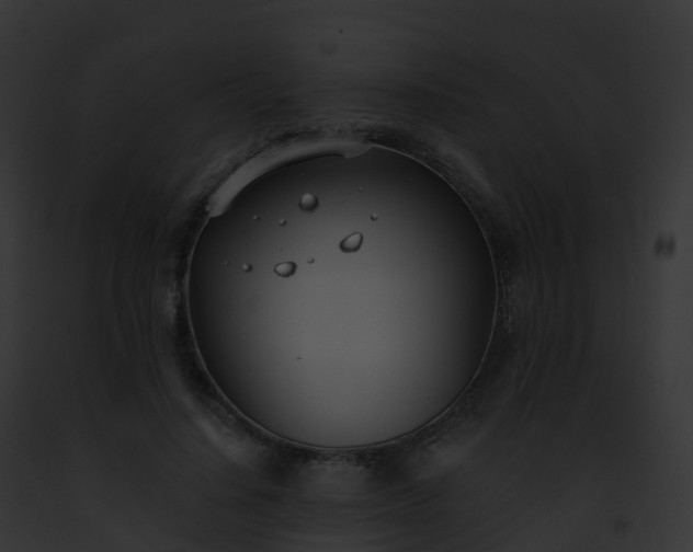 X0000093090644200710031439