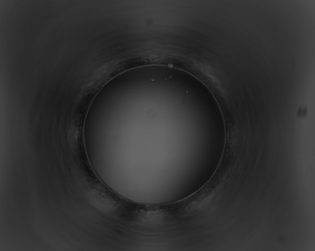 X0000093090645200710031439