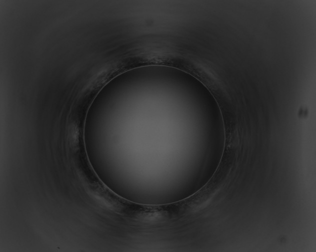X0000093090646200710031439