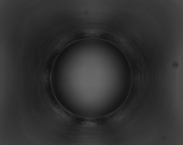 X0000093090649200710031439