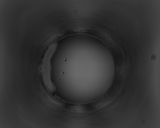X0000093090652200710031439