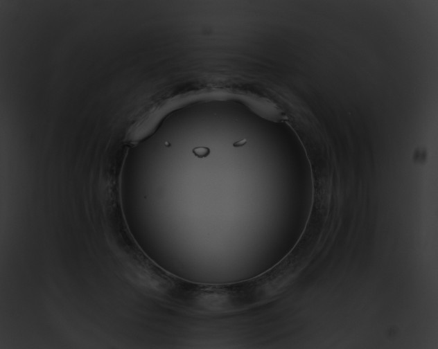 X0000093090653200710031439
