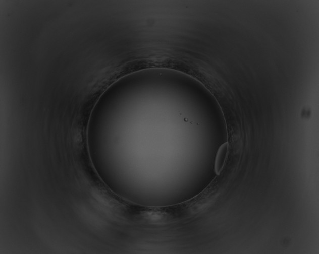 X0000093090654200710031439