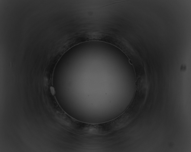 X0000093090655200710031439