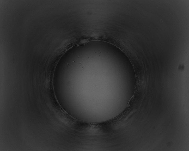 X0000093090656200710031439