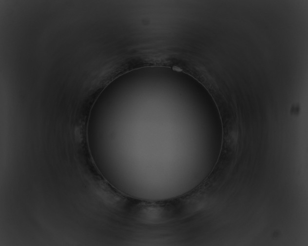 X0000093090658200710031439