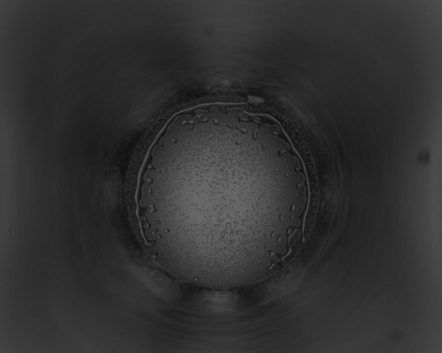 X0000093090659200710031439